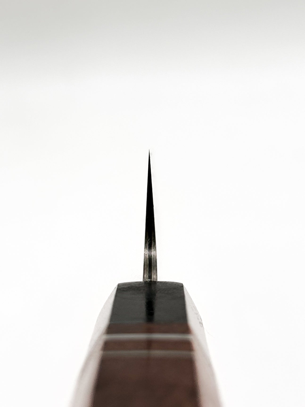Takeshi Saji R2 sujihiki