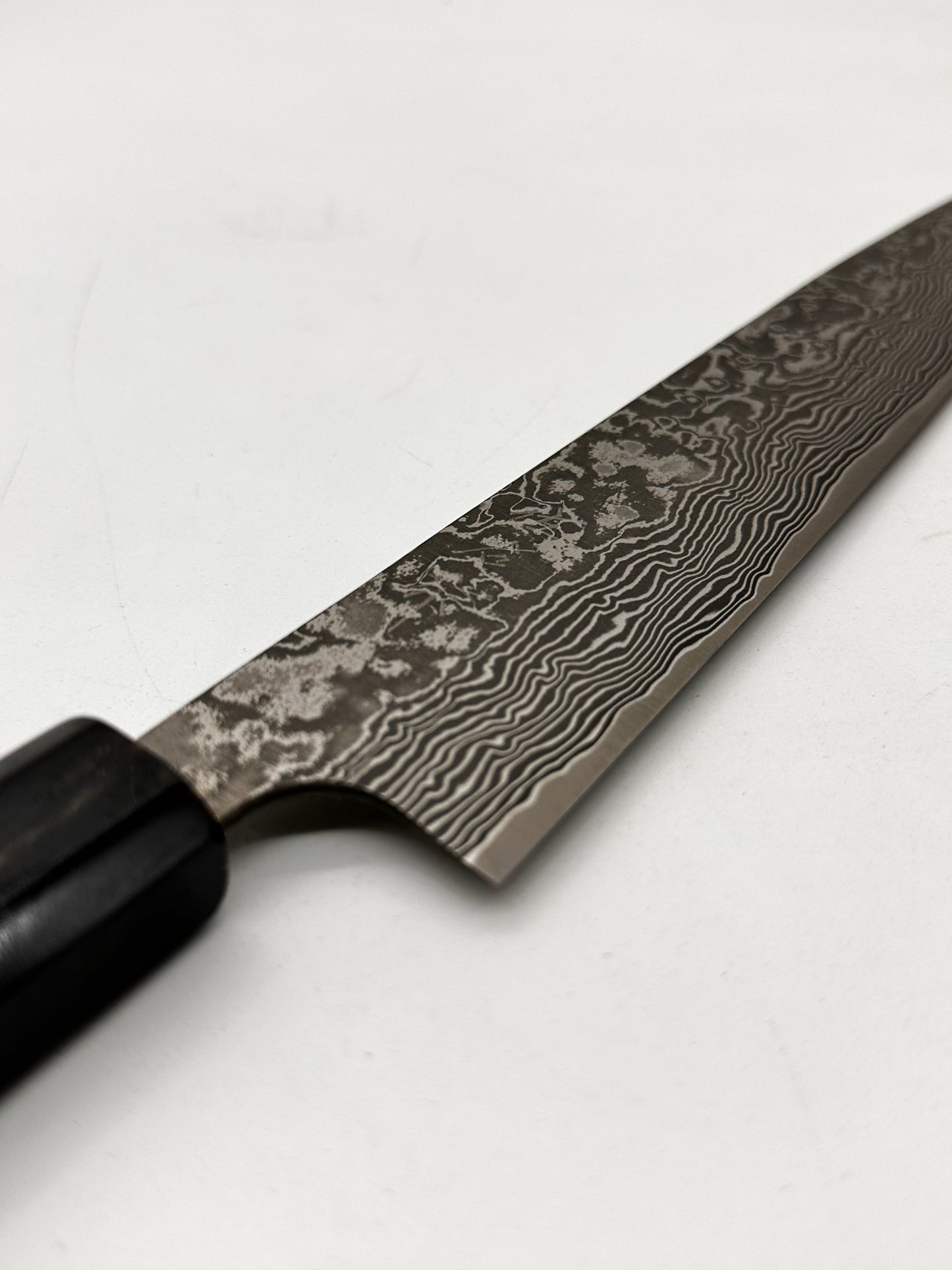 Takeshi Saji R2 sujihiki